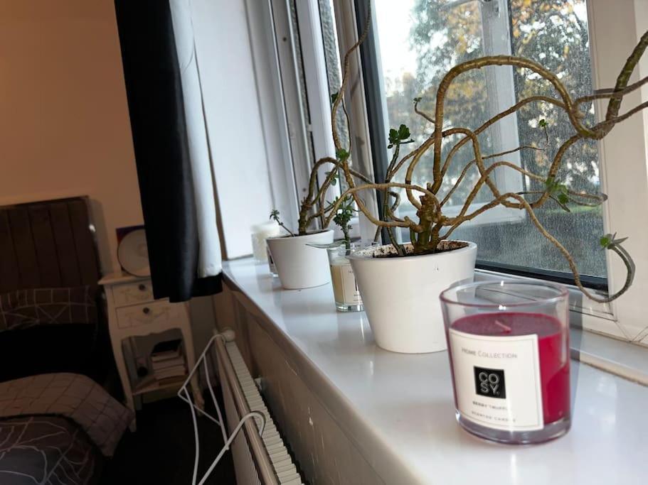 1-Bed Flat With Fast Wi-Fi In Prime Location 15Mins From Central Londra Esterno foto