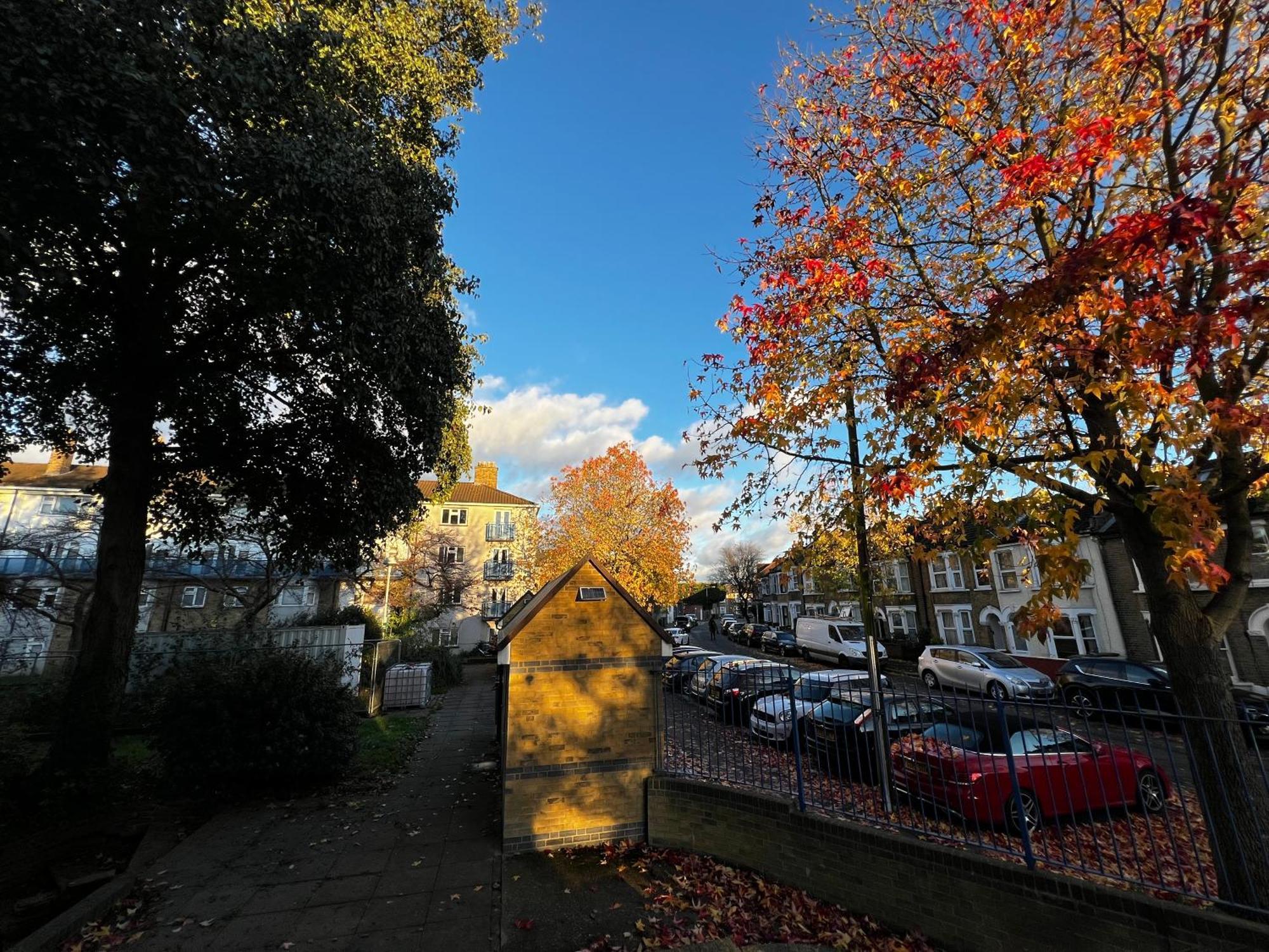 1-Bed Flat With Fast Wi-Fi In Prime Location 15Mins From Central Londra Esterno foto